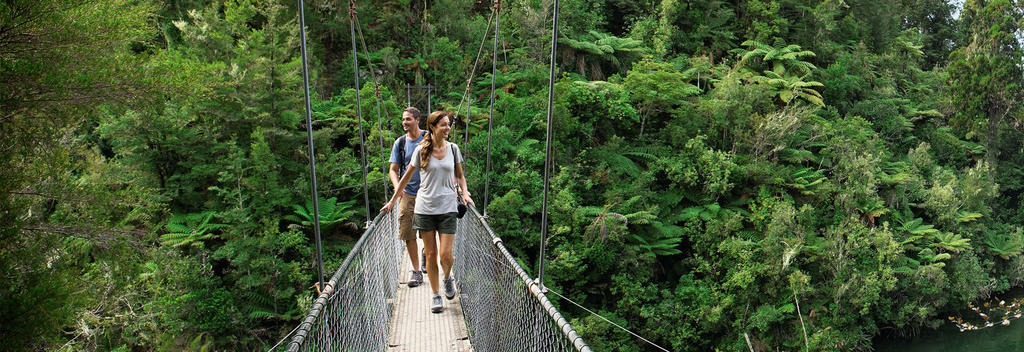 Auf einer Wanderung durch den Urwald im Abel Tasman National Park gibt es vieles zu sehen.