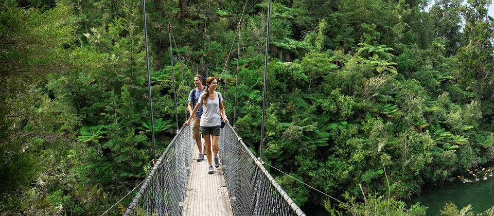 Auf einer Wanderung durch den Urwald im Abel Tasman National Park gibt es vieles zu sehen.