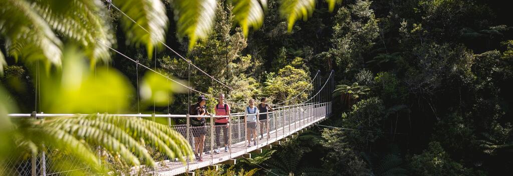 Wilson’s Walk at Abel Tasman National Park