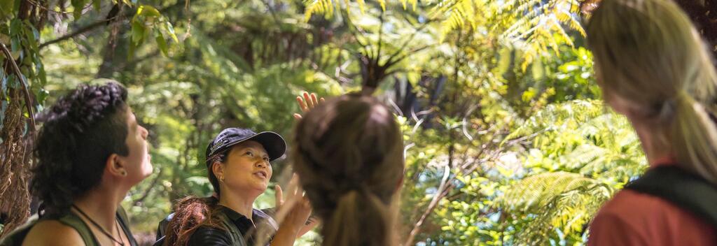 Abel Tasman National Park