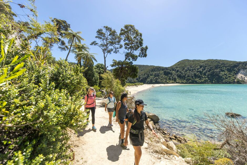 Wilson’s Walk, Abel Tasman National Park