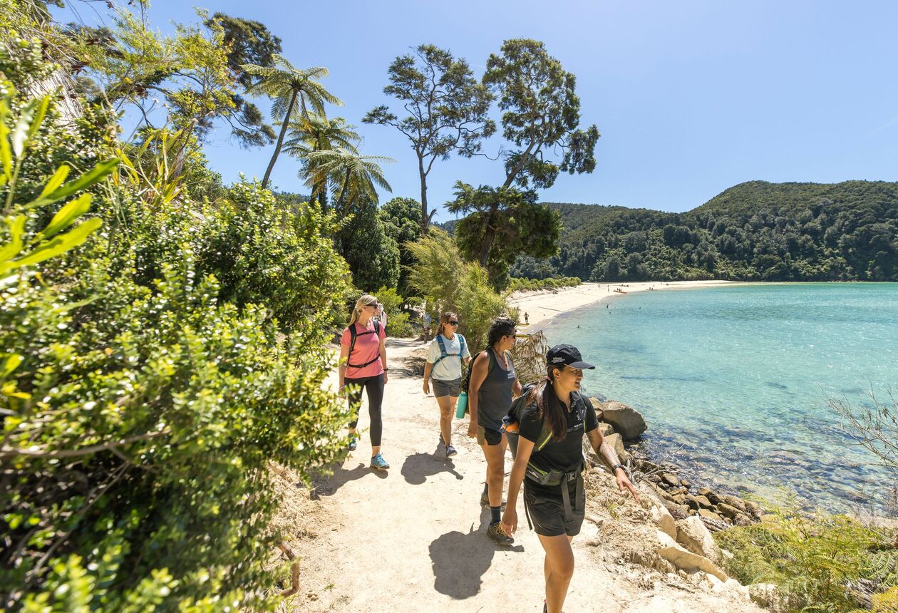 The Nelson Tasman region is a walking and hiking paradise, and home to two of New Zealand’s Great Walks – The Heaphy Track in the Kahurangi National Park and the Abel Tasman Coast Track.