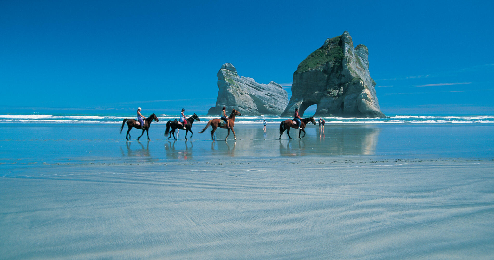 Wharariki Beach Walk Nelson, New Zealand