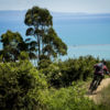 The Dun Mountain Trail is only 15 mins by bike from Nelson.
