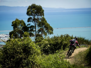 The Dun Mountain Trail is only 15 mins by bike from Nelson.