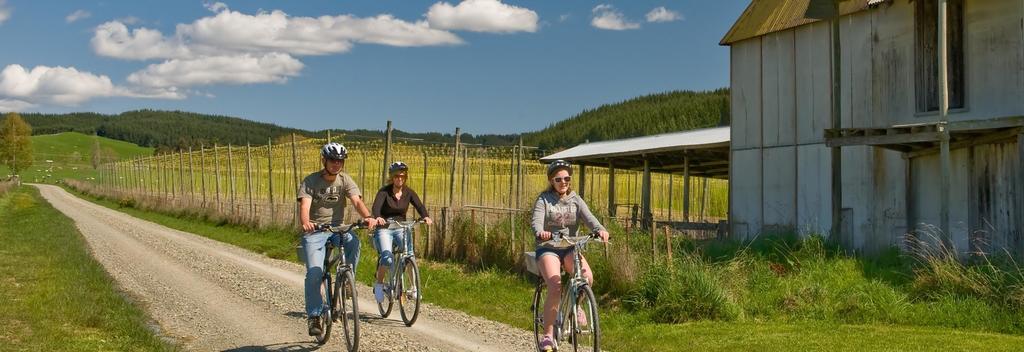 Cycling in Nelson beer country