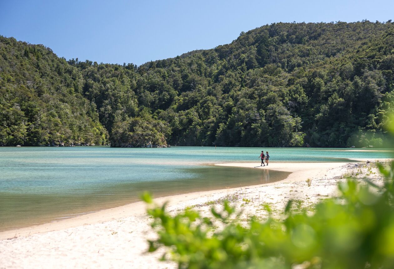 新西兰南岛的夏季活动丰富多彩，既有天然美景、亲近自然和独特文化为主题的活动，也有葡萄园和温泉池等体验。