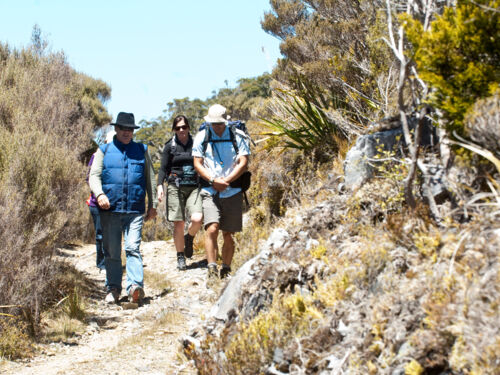 Heaphy Track New Zealand Hiking Trails Tourism New Zealand