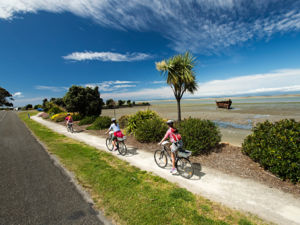 On the Great Taste Trail take in panoramic views of Tasman Bay, Waimea Estuary, and mountains in the Western Ranges.