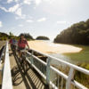 Throughout New Zealand, cycle trail support companies make it easy to hire a bike and explore a world of fresh air and freedom.