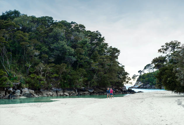 Der Abel Tasman National Park ist Neuseelands kleinster Nationalpark – aber er bietet alles, was man für Abenteuer und Entspannung braucht.