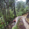 Downhill adrenaline at the Kaiteriteri Mountain Bike Park.