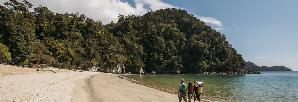 Explore Abel Tasman National Park