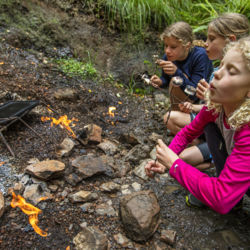 The Natural Flames Experience