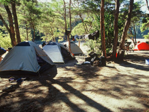 アベル・タスマン国立公園のバーク・ベイにある環境保全省管轄のキャンプ場