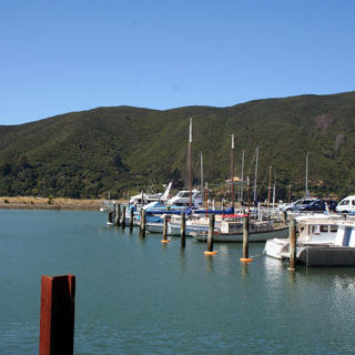 Havelock marina