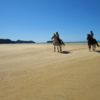 Riding along the golden sands of the Marahau Beach