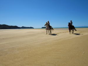 Riding along the golden sands of the Marahau Beach