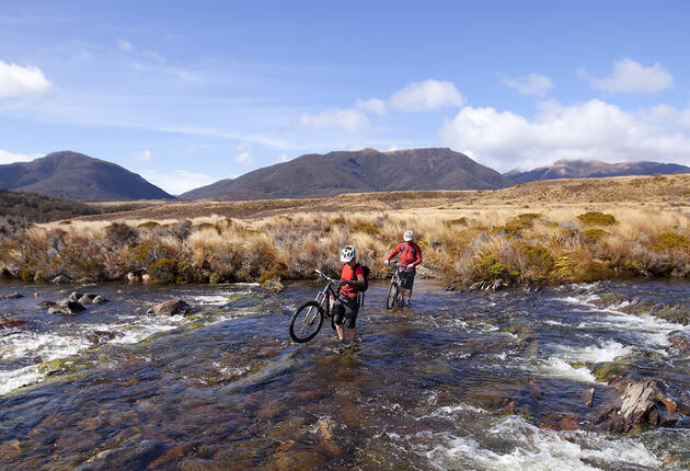 This Great Walk is also a fantastic multi-day New Zealand mountain biking trail traversing the diverse, often surreal landscapes of Kahurangi National Park.