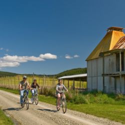 Cycling in Nelson beer country