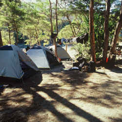 Bark Bay DOC campsite - Abel Tasman National Park