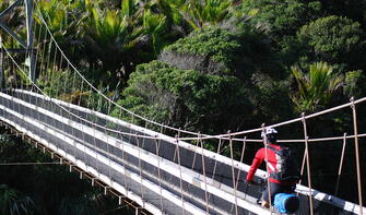 The Heaphy Track bridge