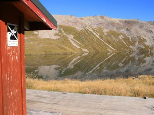 Keas are cheeky alpine parrots found only in South Island&#039;s mountains.