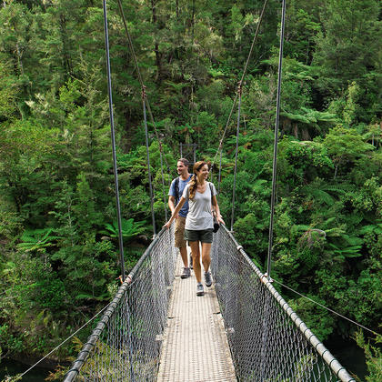 From an hour walk to multi-day hikes, immerse yourself in nature.