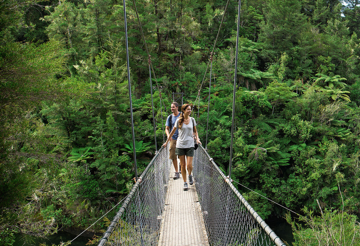 아름답기 그지없는 아벨태즈먼 국립공원에 이어진 해변으로 가고, 기묘한 바위의 모습도 보고, 야생동물 가까이에서 그들의 자연스러운 모습을 관찰한다.
