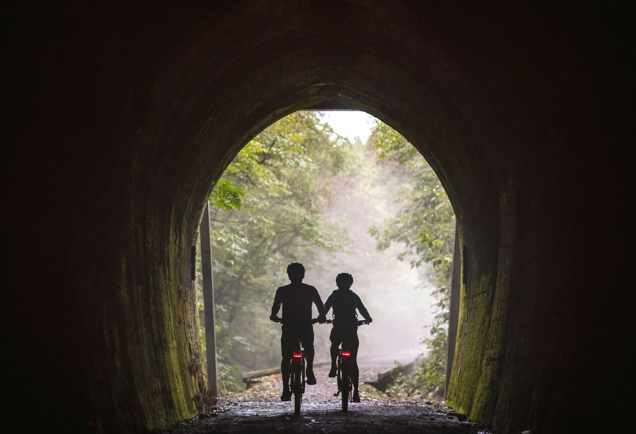 Nelson Tasman’s creative local culture extends to wine making in a multitude of privately owned boutique vineyards. Bask in Nelson Tasman's year round sunshine and check out the best wineries, events and cycle trail.  