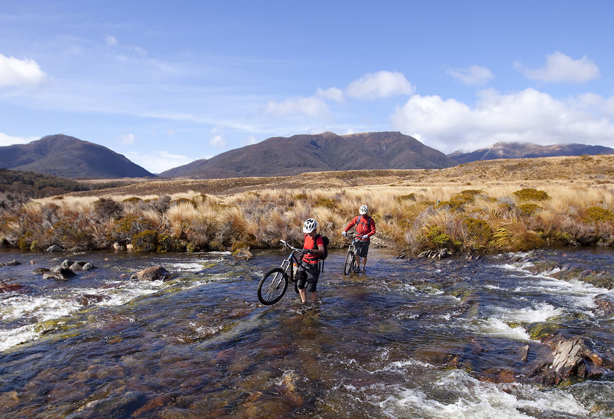 This Great Walk is also a fantastic multi-day New Zealand mountain biking trail traversing the diverse, often surreal landscapes of Kahurangi National Park.
