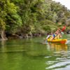 Abel Tasman National Park