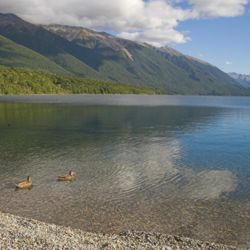 A view of Lake Rotoiti, looking southwards.