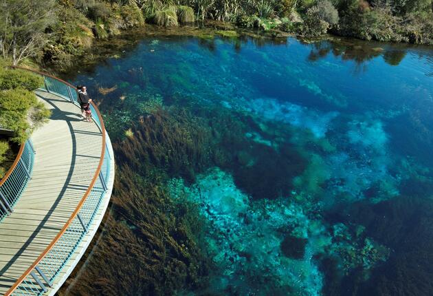 콜링우드는 카후랑이 국립공원으로 가는 북단의 관문이자 조류 서식지.