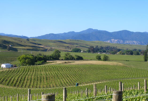 넬슨 지역 와이너리, 해변, 그리고 국립공원이 모두 시작되는 마을.