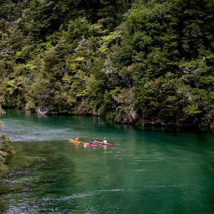 Native forests combines with spectacular coastal outlook in the Abel Tasman National Park to make it a truly unique experience.