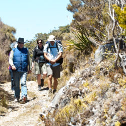 Trampers, Heaphy Track, Nelson, NZ-2