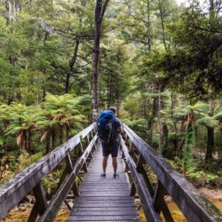 Abel Tasman Coastal Track