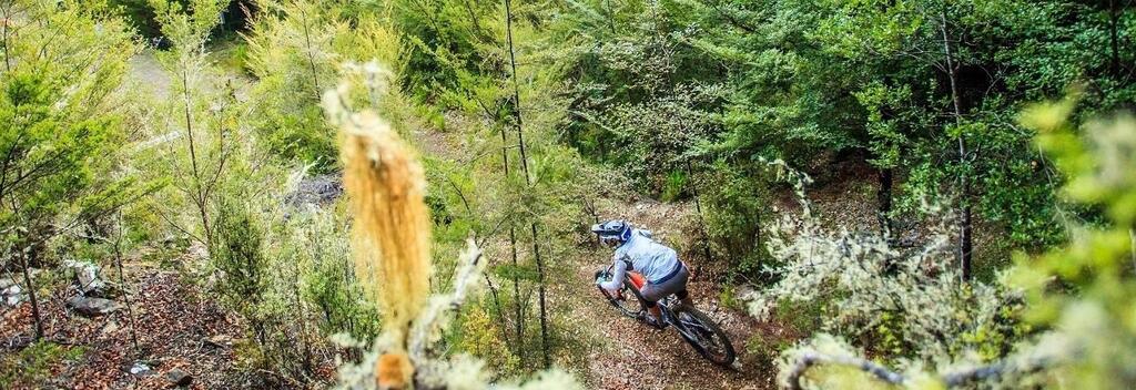 Wairoa Gorge Mountain Bike Park climbs to 1200m, offering epic views.