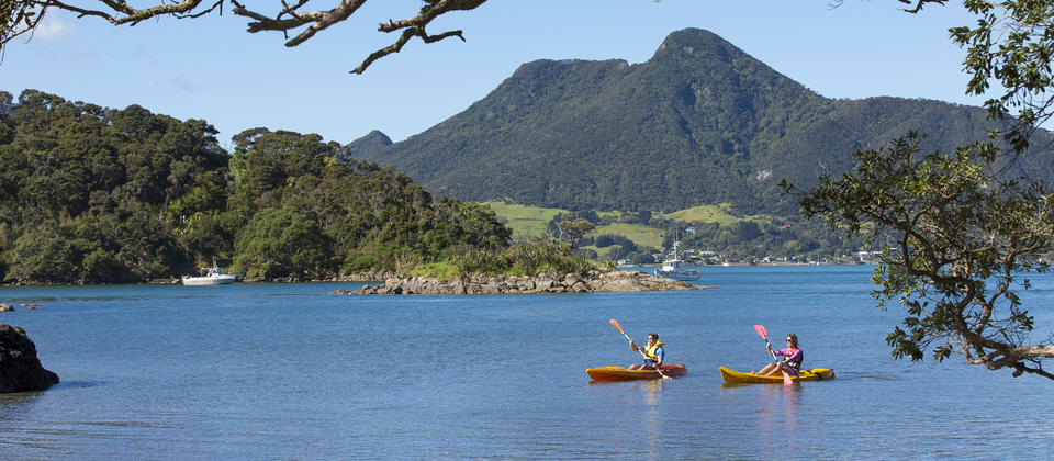 Kayaking at Whangarei Heads