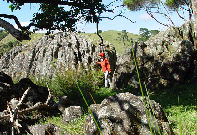 와이레레 보울더즈는 1.6km 깊이 계곡에 주름이 가득잡힌 현무암 암석이 자리잡은 곳으로, 이런 모습은 뉴질랜드중에서도 이 곳에서만 볼 수 있는 자연의 신비다.