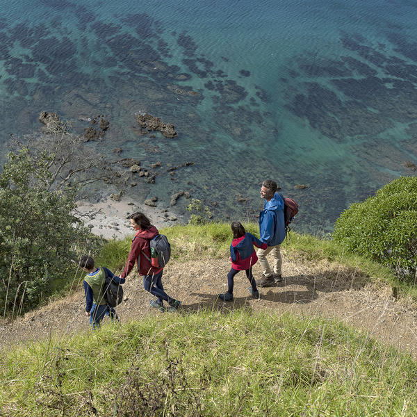 Mangawhai Cliffs Walkway