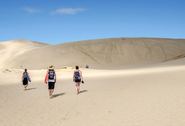 Information on ten of the best adventures and activities for backpackers to have while holidaying in New Zealand.