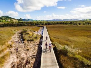 Pou Herenga Tai – Twin Coast Cycle trail