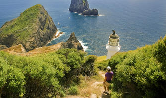 Cape Brett Walkway is a popular overnight walk in Bay of Islands, hikers will stay at DOC huts and utilise local water taxi for boat transfer.
