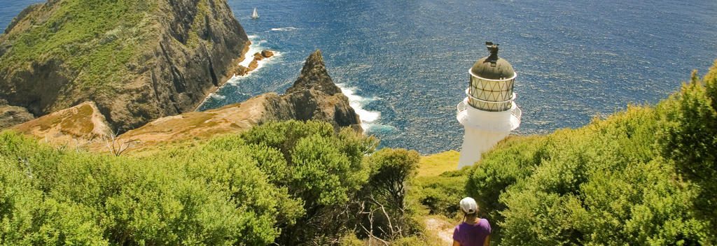 Cape Brett Walkway is a popular overnight walk in Bay of Islands, hikers will stay at DOC huts and utilise local water taxi for boat transfer.