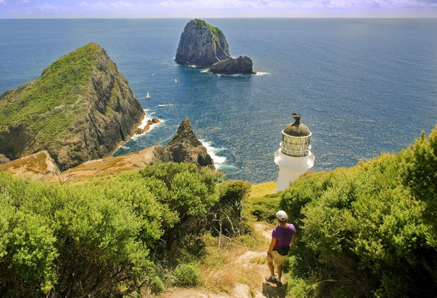 Fancy spending a few hours – or perhaps a day – in New Zealand’s Great Outdoors? Here’s some ideas for enjoyable short walks in the North Island.