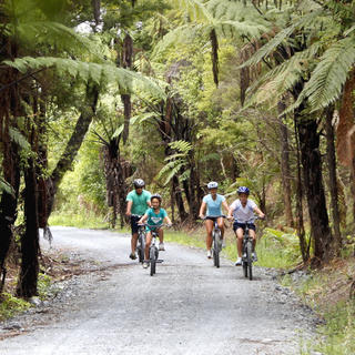 双海岸自行车道（Twin Coast Cycle Trail）是全家出游的绝佳选择。