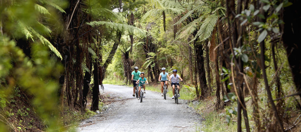 The Twin Coast Cycle Trail is perfect for the whole family.