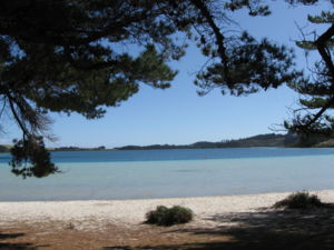 在湖里畅游一番的绝佳地点，特别是在十二月到三月左右的温暖季节。